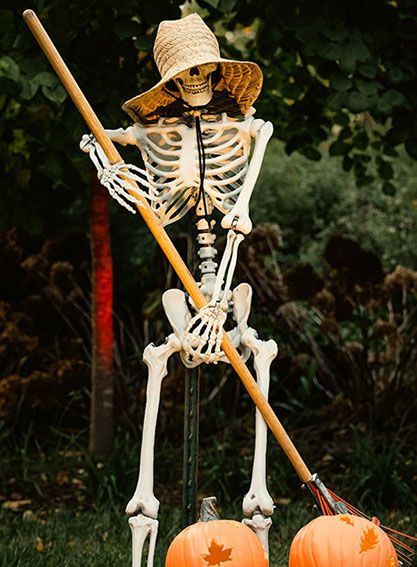 Esqueleto con calabazas en Halloween