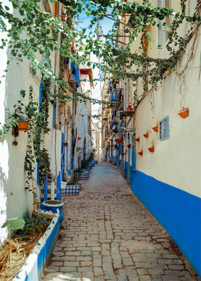 imagen calles de Argel
