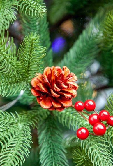 Árbol de navidad. Foto de The Pam